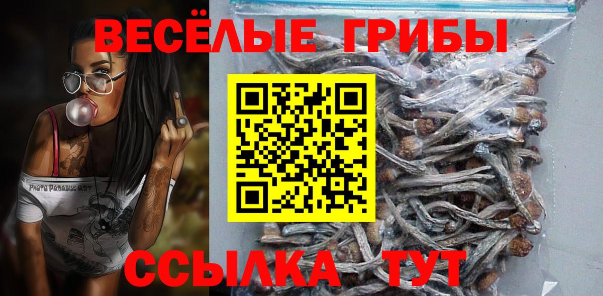 Галлюциногенные грибы Cubensis  Вход с VPN  Галлюциногенные грибы GOLDEN TEACHER  купить   Горячий Ключ 